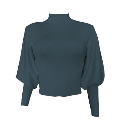 Solid color turtleneck sweater